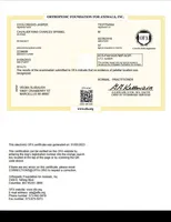 Jasper, a male Cavalier King Charles Spaniel for sale in Marcellus, MI – Photo 5 of 7