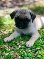 processed/1fd26911-f4cf-4925-bbbc-51c76926c2de/listing/1b05aca5-3b3d-48c1-b40d-6f467a966f46/7c69cfcf-5c23-4b60-8c5b-a82df5a2ba4a