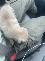 processed/1fd26911-f4cf-4925-bbbc-51c76926c2de/listing/1b05aca5-3b3d-48c1-b40d-6f467a966f46/bfd4a590-f93b-4247-a389-544f0f84040c