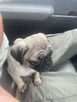 processed/1fd26911-f4cf-4925-bbbc-51c76926c2de/listing/1b05aca5-3b3d-48c1-b40d-6f467a966f46/c1f83a3d-1593-4c30-ad81-ad68b5b8de3e