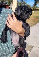 processed/1fd26911-f4cf-4925-bbbc-51c76926c2de/listing/4145cbb8-6ab7-4025-a2eb-27e3a39e454f/eca723ca-df0d-4081-829c-78b456674341