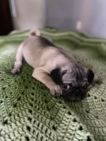 processed/1fd26911-f4cf-4925-bbbc-51c76926c2de/listing/bfa8c04d-e49e-4550-aa0f-e93fe6db04db/cc2b7243-c829-45f4-8319-45a9e7545e7c