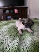 processed/1fd26911-f4cf-4925-bbbc-51c76926c2de/listing/bfa8c04d-e49e-4550-aa0f-e93fe6db04db/e5998ea8-1314-406b-843c-6506637b7c03