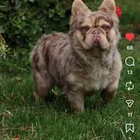 processed/1fe46156-dc02-4cfa-b382-52e3b694ca8a/facility/b16c4de0-b77c-49b9-be37-0f983cc79dd9