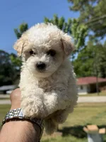 processed/1fec6cbc-b555-4aad-bf54-80f034e66291/facility/0c238bdb-9acb-45cc-801a-81321ec0fd01