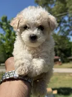 processed/1fec6cbc-b555-4aad-bf54-80f034e66291/facility/10c27515-e28e-43ce-a55f-1dc45ffab9f6