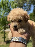 processed/1fec6cbc-b555-4aad-bf54-80f034e66291/facility/1c8facfb-7f2a-45a0-acd5-36cf58c7bda0