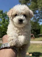 processed/1fec6cbc-b555-4aad-bf54-80f034e66291/facility/22e8a4c0-ba20-49db-ab79-8d51c25853e6