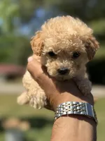 processed/1fec6cbc-b555-4aad-bf54-80f034e66291/facility/28873c6b-e991-4882-bfa7-d074aa285cc5