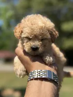 processed/1fec6cbc-b555-4aad-bf54-80f034e66291/facility/7d2ab015-e610-4747-a8ff-802f4374319b