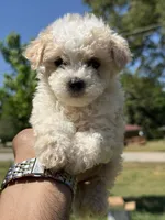 processed/1fec6cbc-b555-4aad-bf54-80f034e66291/facility/99a5302c-d7a5-4fc1-b707-a5f4f5e98dcd