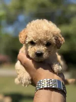 processed/1fec6cbc-b555-4aad-bf54-80f034e66291/facility/b50c44b7-d27b-40db-9d4d-f404ed0a8beb