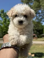 processed/1fec6cbc-b555-4aad-bf54-80f034e66291/facility/c82938ec-c5b5-4240-8592-d69dcd1d0f9e