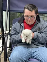 Girl puppy, a female Maltese for sale in Brattleboro, VT – 3 of 6