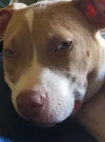 processed/1fedd142-f6c4-4659-90a2-5f7ecaea35e8/listing/3a27373f-05ba-41d5-a6d1-3ee983dad592/20f73b27-ec1d-4098-940c-450febf7925a