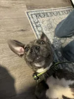 processed/1fedd142-f6c4-4659-90a2-5f7ecaea35e8/listing/3a27373f-05ba-41d5-a6d1-3ee983dad592/2144cf14-3b24-44ad-aeb5-df5123a34d31