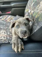 processed/1fedd142-f6c4-4659-90a2-5f7ecaea35e8/listing/3a27373f-05ba-41d5-a6d1-3ee983dad592/4ad27182-8257-4b02-a1bd-f6c120869826