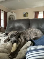 processed/1fedd142-f6c4-4659-90a2-5f7ecaea35e8/listing/3a27373f-05ba-41d5-a6d1-3ee983dad592/6a313fa5-3e7c-43cb-9cce-a2a20ca7b6c5