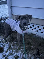 processed/1fedd142-f6c4-4659-90a2-5f7ecaea35e8/listing/3a27373f-05ba-41d5-a6d1-3ee983dad592/c74cbf97-550f-4932-a482-102fdc4fda1b