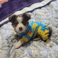 processed/1fedd142-f6c4-4659-90a2-5f7ecaea35e8/listing/8a9383bc-7773-4b13-85f8-949aa47d36fa/20cd61f9-1fa7-4d97-83a3-2312b8512037