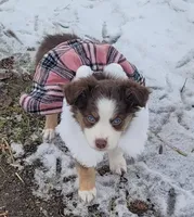 processed/1fedd142-f6c4-4659-90a2-5f7ecaea35e8/listing/8a9383bc-7773-4b13-85f8-949aa47d36fa/b42c9d3f-b421-4273-8865-3f915e772859