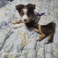 processed/1fedd142-f6c4-4659-90a2-5f7ecaea35e8/listing/8a9383bc-7773-4b13-85f8-949aa47d36fa/e664e580-5dc7-470a-b9d1-16adab962b57