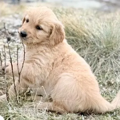 Bali - Light Blue Girl