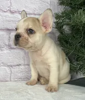 processed/1ff622cc-112b-4545-a889-0d4246e3958d/listing/5376346d-25fd-4d52-b106-1d8f5e8c7bef/128d0a8f-fa68-462b-958c-f437c6c6a899