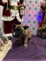 processed/1ffada13-6884-4799-b177-274b163457f3/listing/72391a4c-7c1a-4236-a058-16579e17c4ff/166e37bb-e6b7-47ac-9423-bb3289a264cc