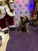 processed/1ffada13-6884-4799-b177-274b163457f3/listing/72391a4c-7c1a-4236-a058-16579e17c4ff/73b241d8-0e56-4978-80d3-d77625bc0c64