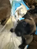 processed/1ffada13-6884-4799-b177-274b163457f3/listing/76200baa-426c-4378-b12c-43f76fb5aa4d/3a2b59b5-00e4-433b-b723-725b3e39eec9