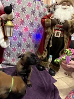 processed/1ffada13-6884-4799-b177-274b163457f3/listing/76200baa-426c-4378-b12c-43f76fb5aa4d/45959020-c022-41a7-bb0f-09c574e353c3