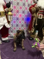 processed/1ffada13-6884-4799-b177-274b163457f3/listing/76200baa-426c-4378-b12c-43f76fb5aa4d/ac1003eb-62c8-4969-a657-ced74c5ff574