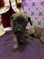 processed/1ffada13-6884-4799-b177-274b163457f3/listing/76200baa-426c-4378-b12c-43f76fb5aa4d/dae75f2d-1b2c-40b7-8b1a-5a81fd8a3729