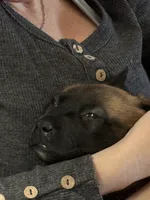 processed/1ffada13-6884-4799-b177-274b163457f3/listing/76200baa-426c-4378-b12c-43f76fb5aa4d/db362a75-e18d-445f-866e-0bd557fde91b