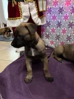 processed/1ffada13-6884-4799-b177-274b163457f3/listing/76200baa-426c-4378-b12c-43f76fb5aa4d/e4f4ff24-c640-4879-a172-154c3cac0565