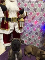 processed/1ffada13-6884-4799-b177-274b163457f3/listing/76200baa-426c-4378-b12c-43f76fb5aa4d/ee56b98c-bbdd-4bac-ba0c-69f755fda042