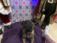 processed/1ffada13-6884-4799-b177-274b163457f3/listing/de6fdd72-d616-4779-afc0-f6369f976d13/1fd9c0d3-a1a0-4ce5-bb75-05bd7c812a02