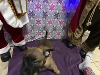 processed/1ffada13-6884-4799-b177-274b163457f3/listing/de6fdd72-d616-4779-afc0-f6369f976d13/39b2e3b3-2c82-4f5c-855a-b0dd34db0ded