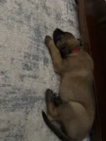 processed/1ffada13-6884-4799-b177-274b163457f3/listing/de6fdd72-d616-4779-afc0-f6369f976d13/68ae4a3e-aa96-493d-adee-b141241bae1a