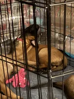 processed/1ffada13-6884-4799-b177-274b163457f3/listing/de6fdd72-d616-4779-afc0-f6369f976d13/930a59e0-8e3a-4419-90d7-55741ffda11a