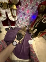 processed/1ffada13-6884-4799-b177-274b163457f3/listing/de6fdd72-d616-4779-afc0-f6369f976d13/c2405b16-afd1-49bf-97f7-bf5dd8356dbe