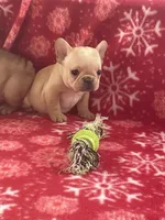 processed/1fff7db9-4010-455d-a47f-f7013612f22a/listing/d3c16f9b-740b-496a-8ccc-8b712f83b488/33a3f3a3-e68f-4342-a282-775e7a4ffbe9