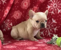 processed/1fff7db9-4010-455d-a47f-f7013612f22a/listing/d3c16f9b-740b-496a-8ccc-8b712f83b488/54309278-f682-4ca3-898c-8daba84b5bde