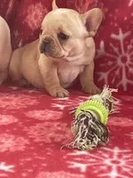 processed/1fff7db9-4010-455d-a47f-f7013612f22a/listing/d3c16f9b-740b-496a-8ccc-8b712f83b488/71bb0f14-a0a6-45df-a0a7-051c28a93977