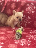 processed/1fff7db9-4010-455d-a47f-f7013612f22a/listing/d3c16f9b-740b-496a-8ccc-8b712f83b488/888cba5e-04e8-4115-90cd-3e78e23cf55b