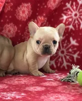 processed/1fff7db9-4010-455d-a47f-f7013612f22a/listing/d3c16f9b-740b-496a-8ccc-8b712f83b488/db244789-00a6-4613-8fe9-f94aa3cd9a07