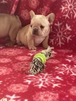 processed/1fff7db9-4010-455d-a47f-f7013612f22a/listing/d3c16f9b-740b-496a-8ccc-8b712f83b488/e608566f-5376-4ca9-81fa-124df5137de7