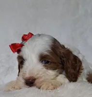 processed/20012ced-c8be-46b5-ad45-e70cc4697db5/listing/0c3da1b5-6505-47de-8f48-e0f5ebb099fa/6101a40e-a4a9-42b8-b0c5-09047c57530a