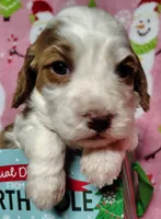 processed/20012ced-c8be-46b5-ad45-e70cc4697db5/listing/0c3da1b5-6505-47de-8f48-e0f5ebb099fa/89d88a48-b6da-46cc-bd2e-0e9d514b8e7e